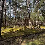 Heban Forest Cabin&sauna Starlink Dom wakacyjny *