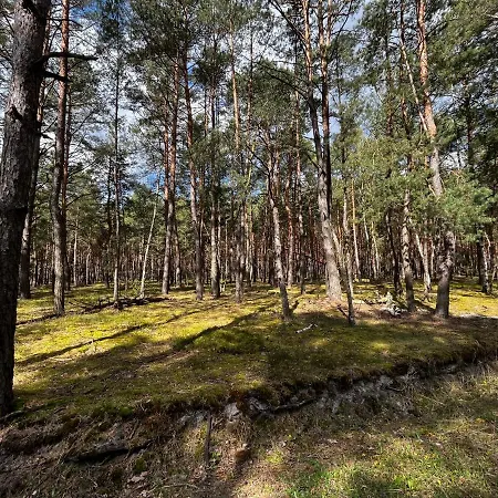 Heban Forest Cabin&sauna Starlink Prázdninový dům *