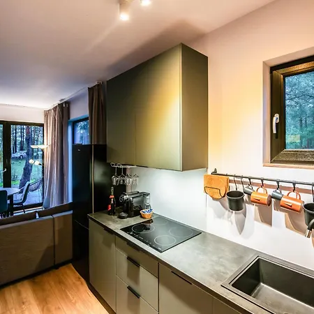 Heban Forest Cabin&sauna Starlink Prázdninový dům Tomczyn