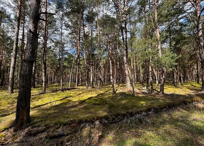Heban Forest Cabin&sauna Starlink Dom wakacyjny *