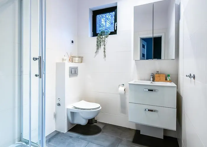 Heban Forest Cabin&sauna Starlink Tomczyn