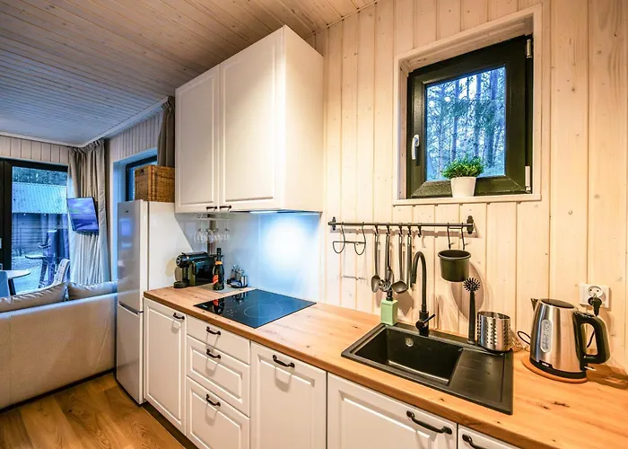 Heban Forest Cabin&sauna Starlink Dom wakacyjny Tomczyn